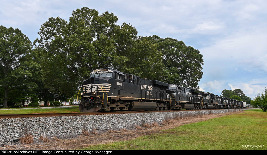 NS 8181